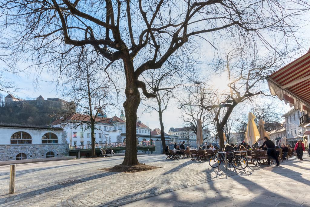 Guest house Old Town 3*