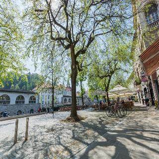 Gostinjska kuća Old Town